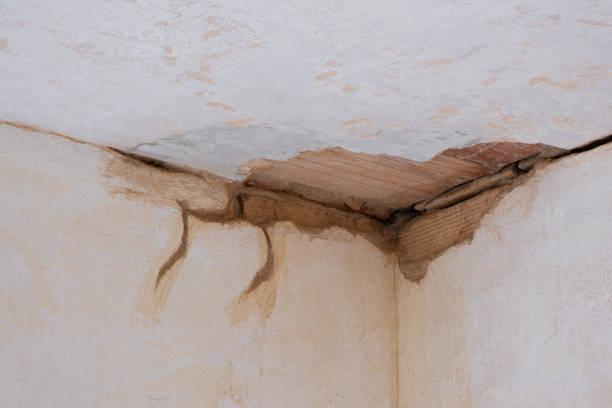 Trusted Warsaw, NC Water damage restoration Experts